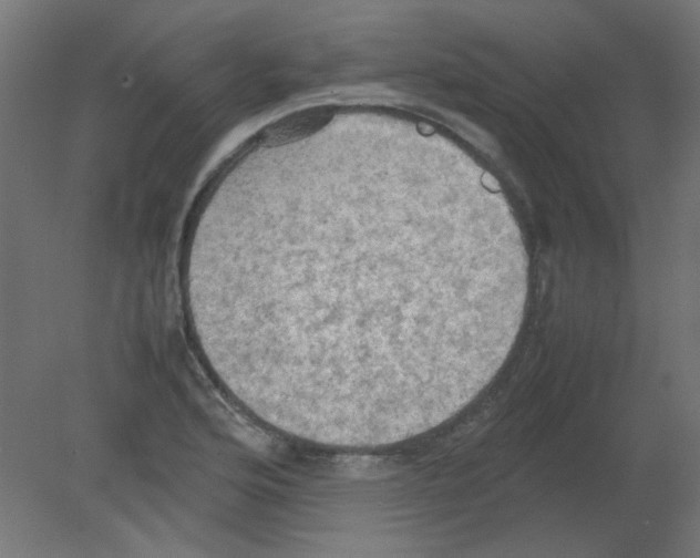 X0000080761176200701122021