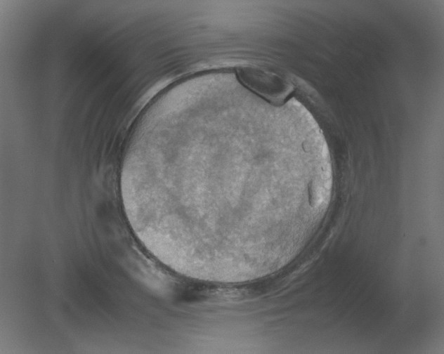 X0000080761177200701122021