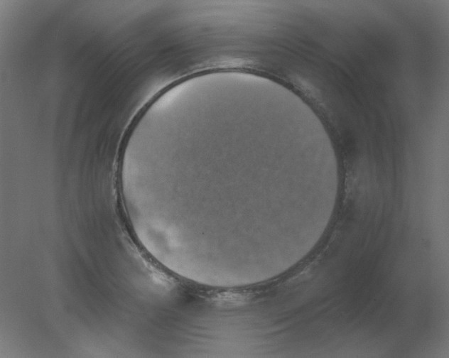 X0000080761178200701122021