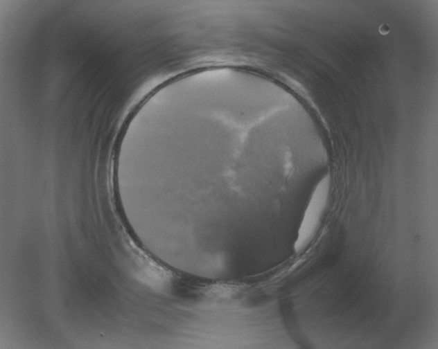 X0000080761179200701122021