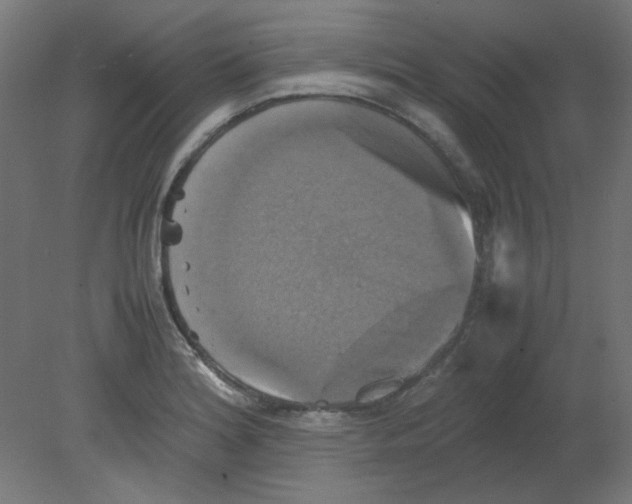 X0000080761180200701122021