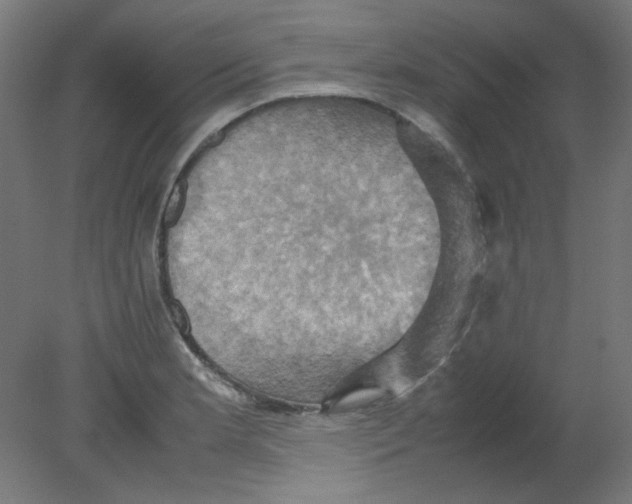 X0000080761181200701122021