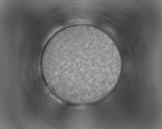 X0000080761182200701122021