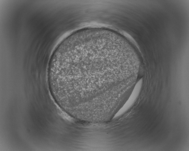 X0000080761183200701122021