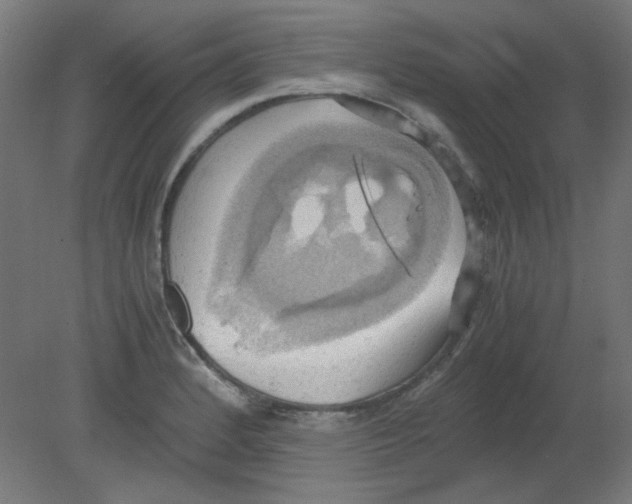 X0000080761184200701122021