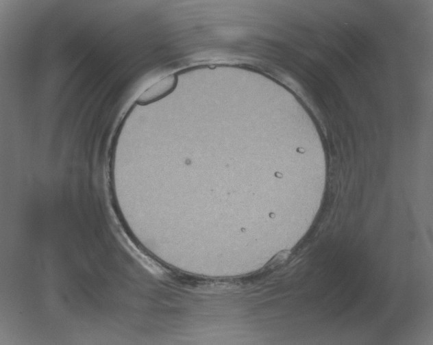 X0000080761187200701122021