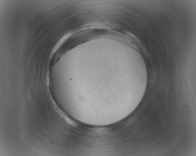 X0000080761188200701122021