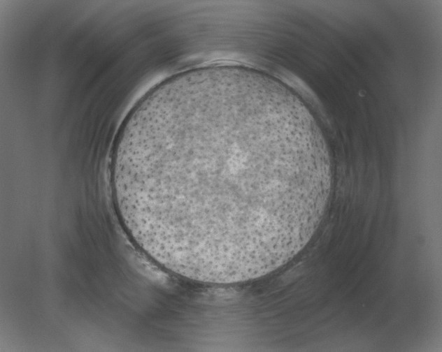 X0000080761190200701122021