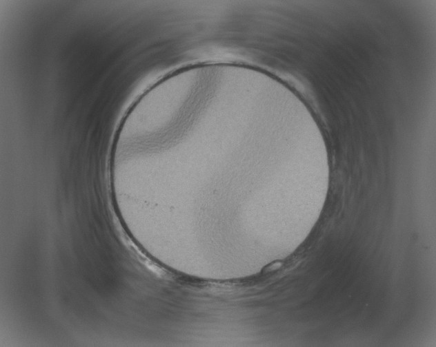 X0000080761191200701122021