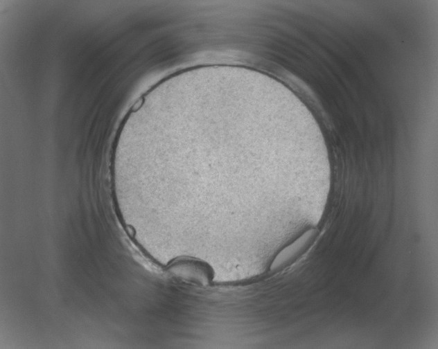 X0000080761192200701122021