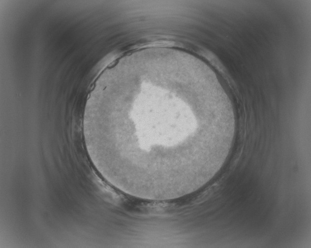 X0000080761193200701122021