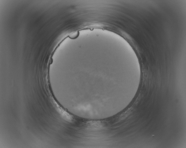 X0000080761194200701122021