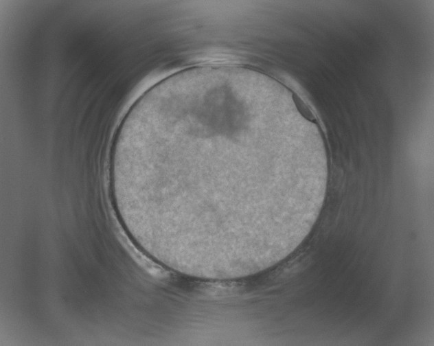 X0000080761195200701122021