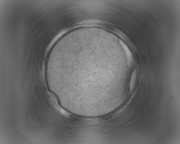 X0000080761196200701122021