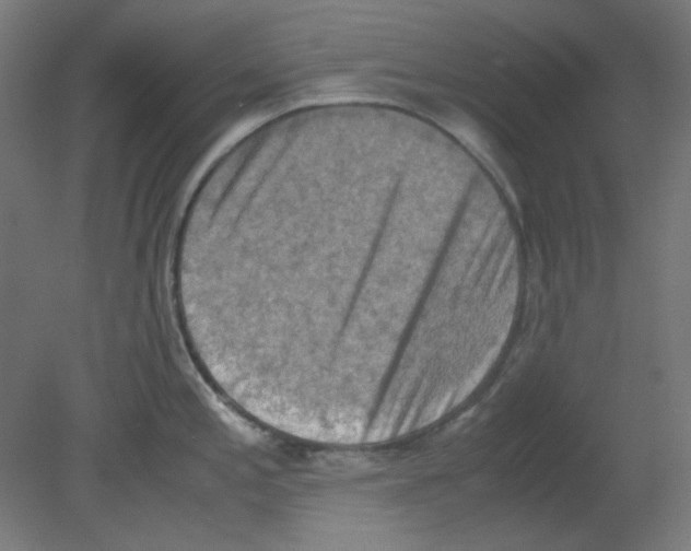 X0000080761197200701122021