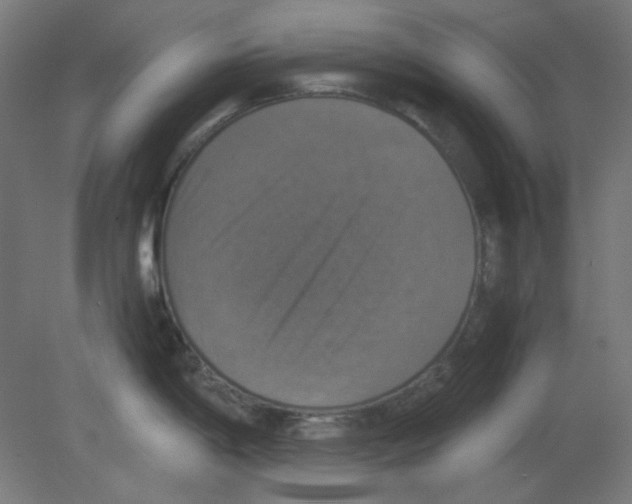 X0000080761198200701122021