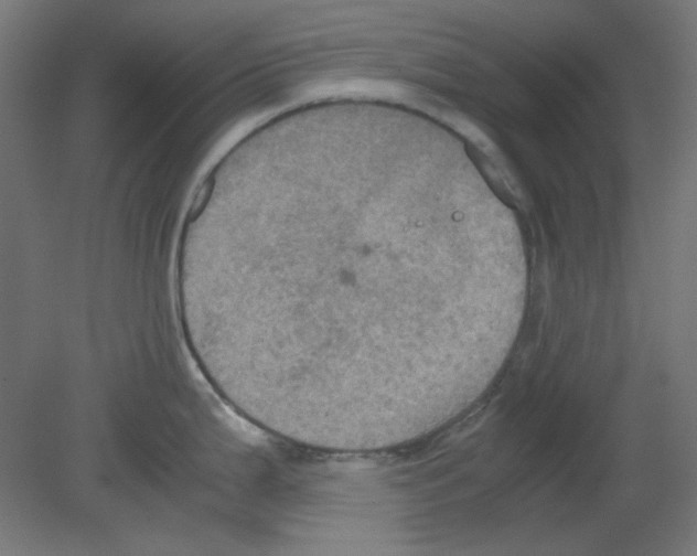 X0000080761199200701122021