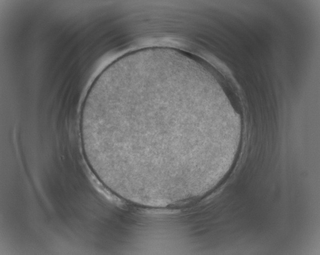 X0000080761200200701122021