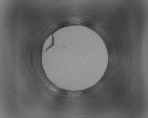 X0000080761201200701122020