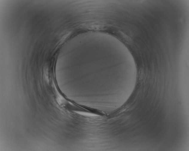 X0000080761202200701122020