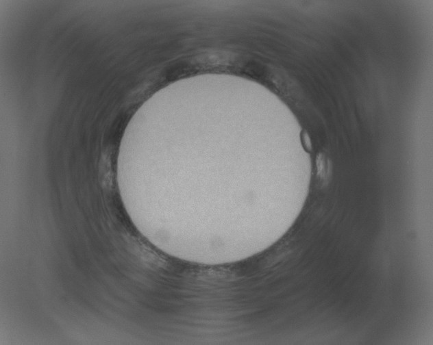 X0000080761203200701122020