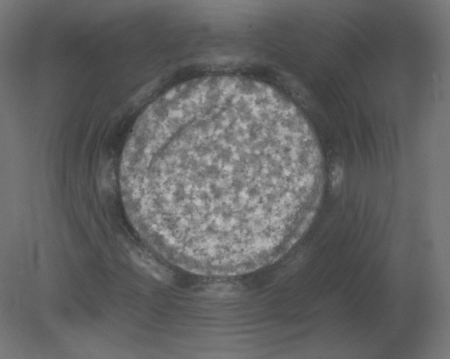 X0000080761204200701122020