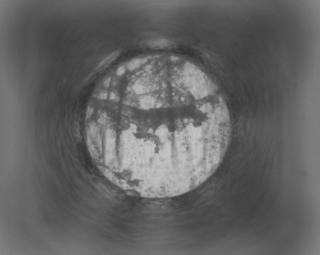 X0000080761205200701122020