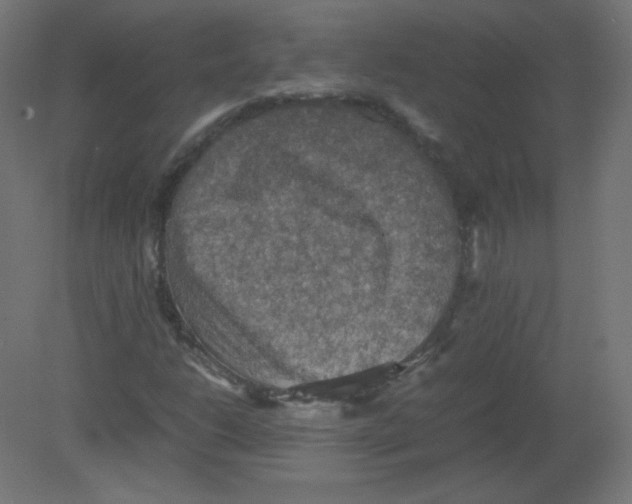 X0000080761206200701122020