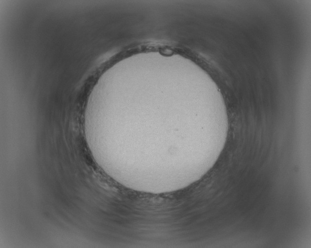 X0000080761207200701122020