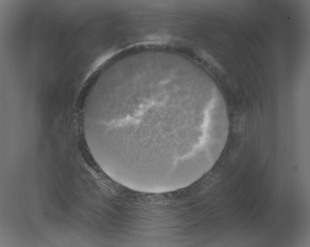 X0000080761208200701122020