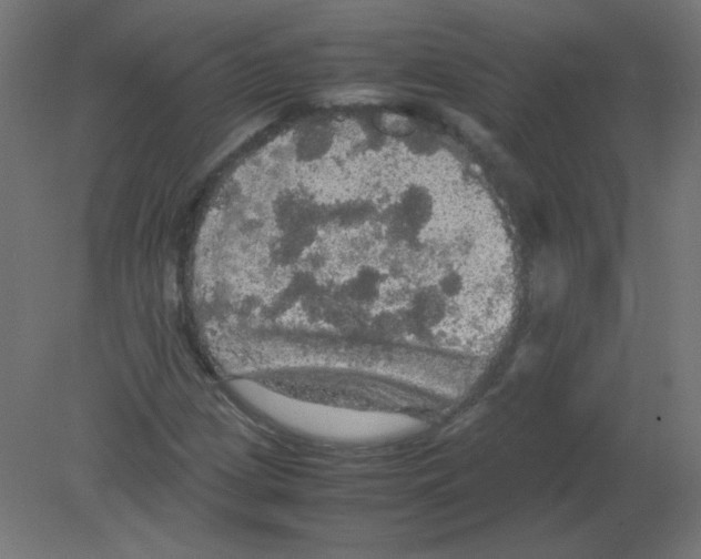 X0000080761209200701122020