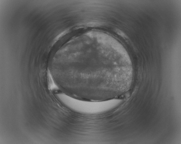 X0000080761210200701122020