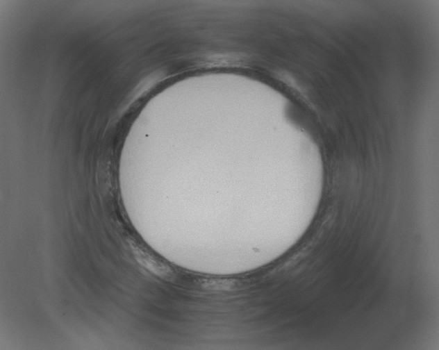 X0000080761211200701122020