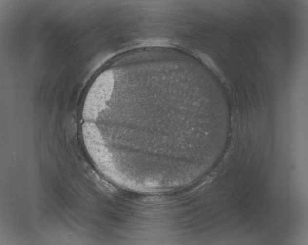 X0000080761212200701122020