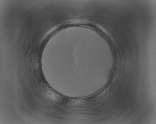 X0000080761213200701122020