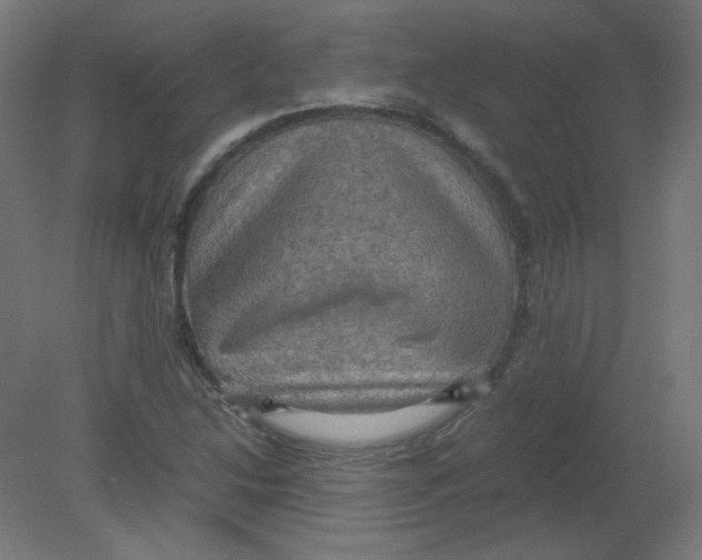 X0000080761214200701122020