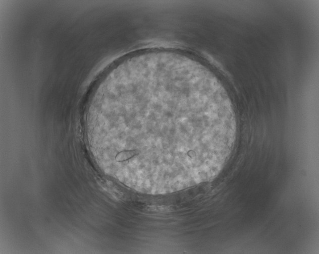 X0000080761215200701122020