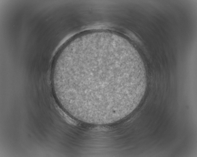 X0000080761216200701122020