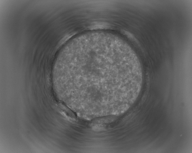 X0000080761217200701122020