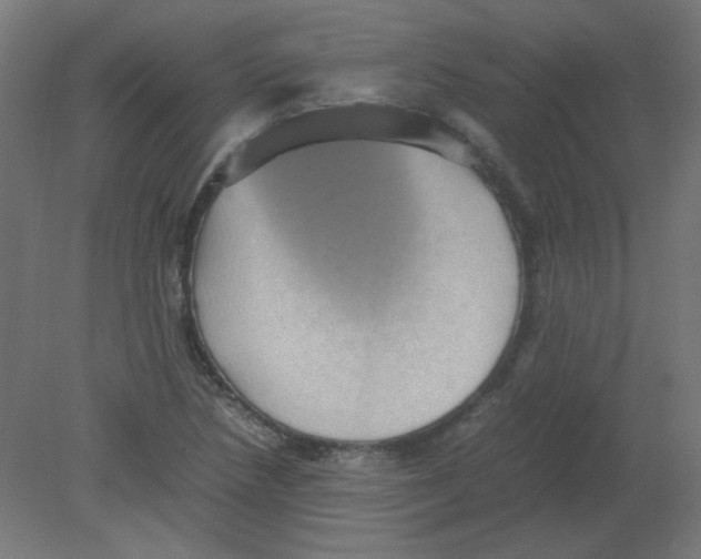 X0000080761218200701122020