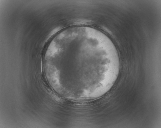 X0000080761219200701122020