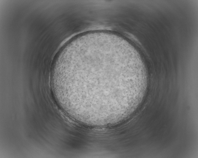 X0000080761220200701122020