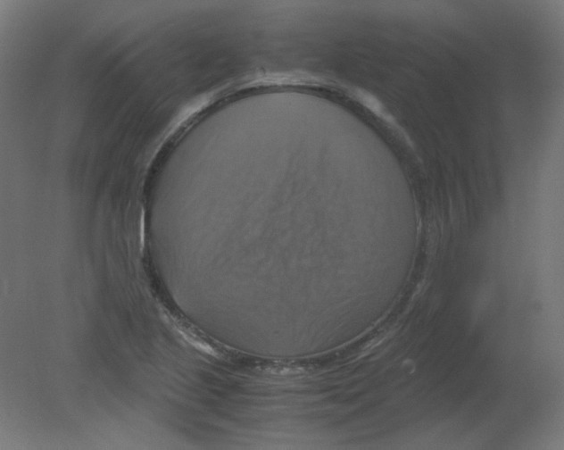 X0000080761221200701122020