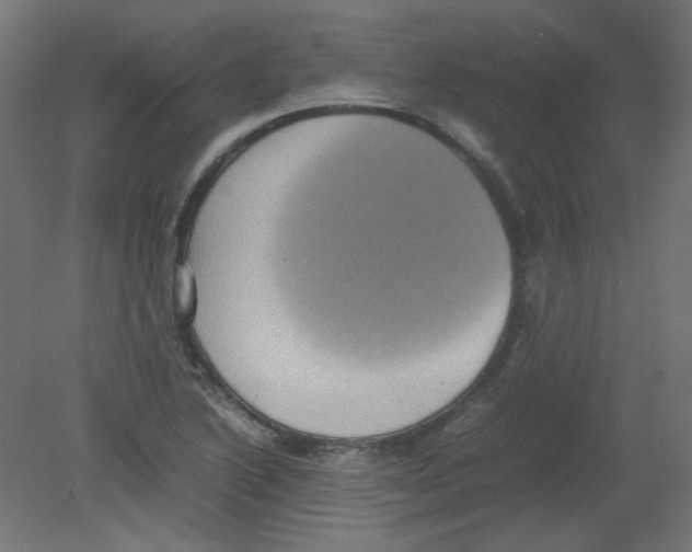 X0000080761222200701122020