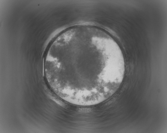 X0000080761223200701122020