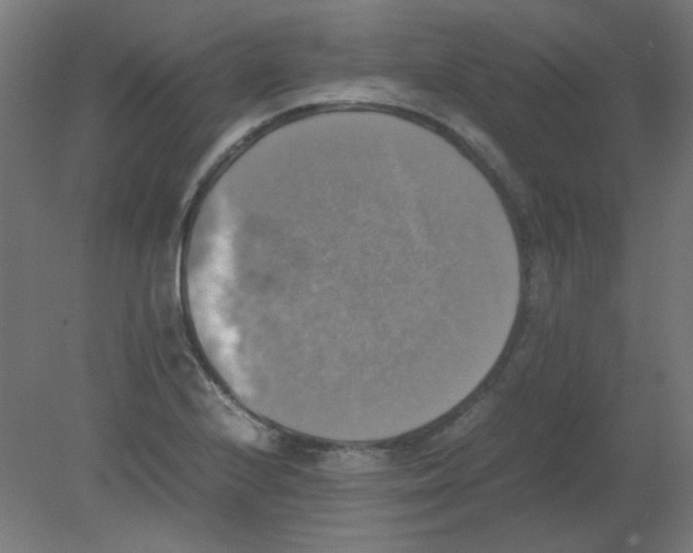 X0000080761224200701122020