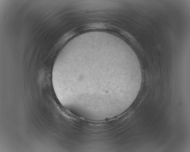 X0000080761225200701122020