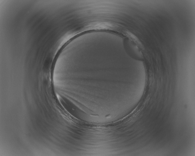 X0000080761226200701122020