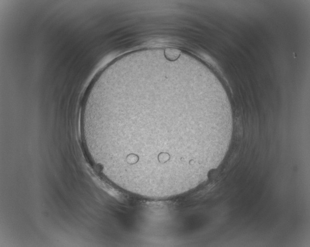 X0000080761227200701122021