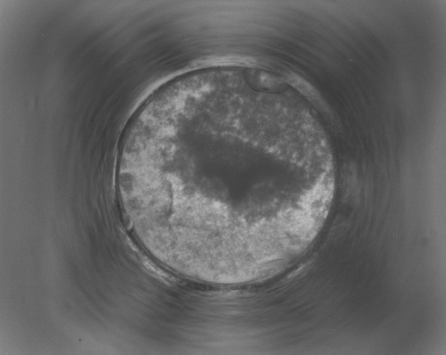 X0000080761228200701122021